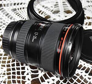  CANON キヤノン EF 17-35mm F2.8 L USM 防湿庫保管美品