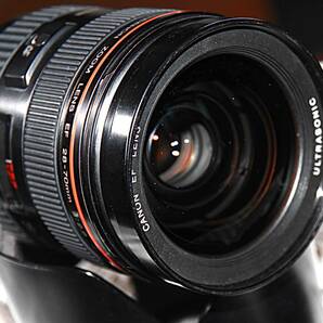 Canon/キヤノン//ZOOM LENS EF 28-70mm 1:2.8 L/防湿庫保管品の画像1