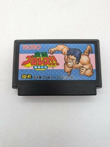 激闘プロレス!! 闘魂伝説 TECMO テクモ レトロ 貴重 FC ファミリーコンピューター ファミコン ソフト カセット 任天堂 ニンテンドー