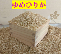 【送料無料】ゆめぴりか　１等米　玄米23.8キロ　特A北海道米　令和５年産　農家直送_画像2