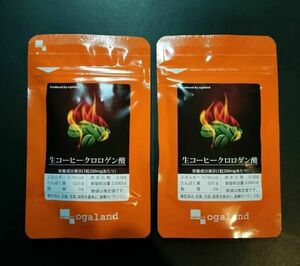 『 生コーヒークロロゲン酸 / 約1ヶ月分 2袋 』■ ポリフェノール / 燃焼系 ダイエット