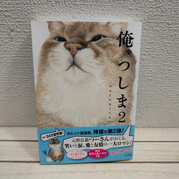 『 俺、つしま 2 』■ おぷうのきょうだい / 猫 ネコ × 漫画 / 巻末にポストカード×2枚 / 癒し ほっこり