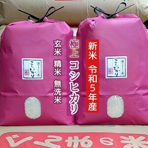 送料無料！新米！令和5年産！群馬北毛産！極上コシヒカリ！玄米or精米or無洗米！10！！