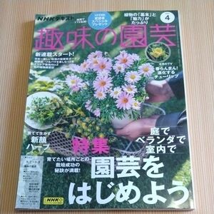 ＮＨＫ　趣味の園芸 ２０２４年４月号 （ＮＨＫ出版）