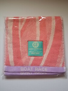 2023 lady's Champion towel unused 