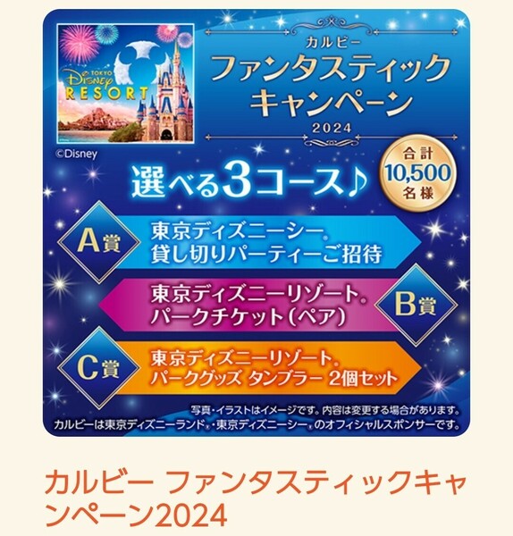 ★2口【はがき付】はがき 懸賞 応募　東京ディズニーシー貸し切りパーティーご招待　リゾートパークチケット(ペア)　当たる　カルビー