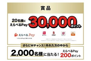 レシート懸賞 応募 えらべるPay30,000ポイント　当たる