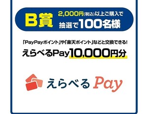 高額 レシート懸賞 応募 P&G「h&sを買って当たる！」キャンペーン えらべるPay10,000円分 パナソニック 頭皮エステ＜スパイラル＞ 当たる