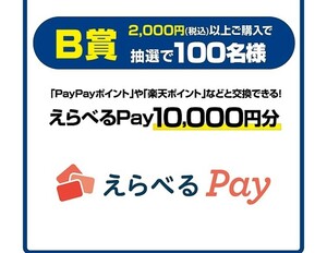 【2口】高額 レシート懸賞 応募 P&G「h&sを買って当たる！」 えらべるPay10,000円分 パナソニック 頭皮エステ＜スパイラル＞ 当たる