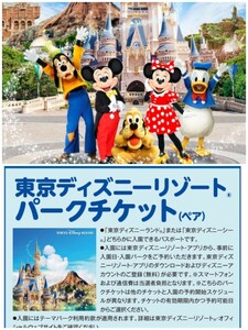 レシート懸賞 応募 Bコース 東京ディズニーリゾートパークチケット ペア ご招待キャンペーン キッコーマン 当たる