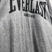 EVERLAST 半袖 プリント Tシャツ L グレー バックプリント クルーネック 古着卸 アメリカ仕入 a605-6390_画像8