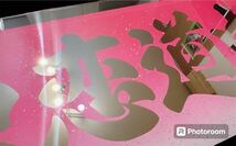ナンバー中型　アンドン板　ラメ　デコトラ　ミラー　アートトラック 飾り板 アルナ_画像3