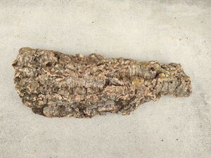 【Lサイズ】 バージンコルク　　天然　ポルトガル産　 70cm28cm　シェルター　爬虫類　両生類　レイアウト