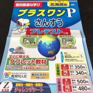 2901 プラスワンPさんすう 1年 AJ1105 教育同人社 算数 小学 ドリル 問題集 テスト用紙 教材 テキスト 家庭学習 計算 過去問 ワーク レア