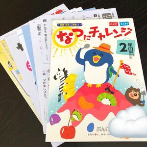 3028 なつにチャレンジ 2年 文溪堂 国語 算数 小学 ドリル 問題集 テスト用紙 教材 テキスト 解答 家庭学習 計算 漢字 過去問 ワーク 勉強