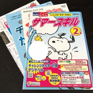 3087 サマースキル 2年 教育同人社 国語 算数 小学 ドリル 問題集 テスト用紙 教材 テキスト 解答 家庭学習 計算 漢字 過去問 ワーク 勉強