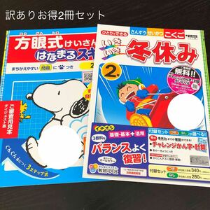 3089 いきいき冬休み 2年 教育同人社 国語 算数 小学 ドリル 問題集 テスト用紙 教材 テキスト 解答 家庭学習 計算 漢字 ワーク 勉強