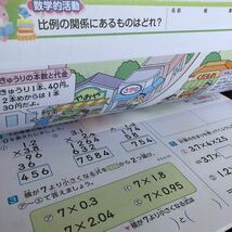 2955 算数NB NBプラス 5年 文溪堂 小学 ドリル 問題集 テスト用紙 教材 テキスト 解答 家庭学習 計算 漢字 過去問 ワーク 勉強 非売品_画像6