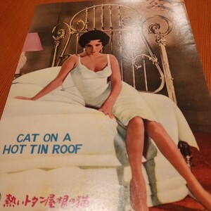 映画パンフレット　熱いトタン屋根の猫　ポールニューマン　エリザベス　テーラー