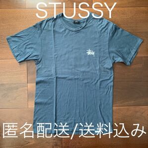 STUSSY ステューシー ショーンフォント ビッグロゴ ワールドツアー ラスタ