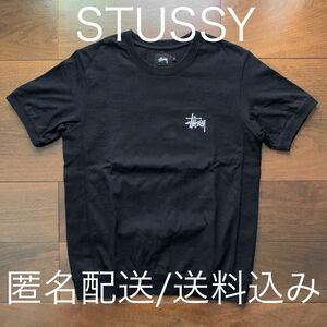 STUSSY ステューシー Tシャツ ビッグロゴ SS ワールドツアー ラスタ