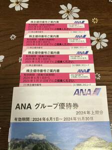 ANA 全日空 株主優待 