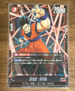 孫悟飯 青年期　SR ドラゴンボール　烈火の闘気　フュージョンワールド