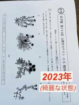 浜学園　小5 2023年度　公開学力テスト 3教科　◆成績資料付き◆_画像4