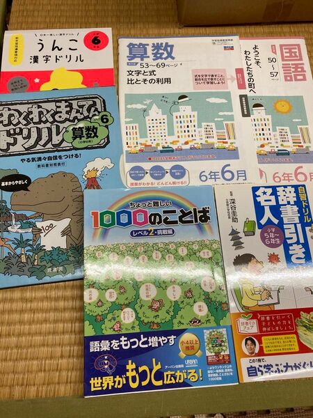 小学6年生向けドリル教材6冊セットうんこ漢字ドリルポピー国語算数辞書引き名人ちょっと難しい1000のことば挑戦編未使用未記入