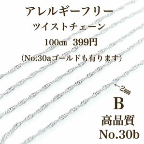 【No.30b】金属アレルギー対応　プラチナコーティング　本ロジウム　高品質 ハンドメイドパーツ　アクセサリー　パーツ　素材　材料