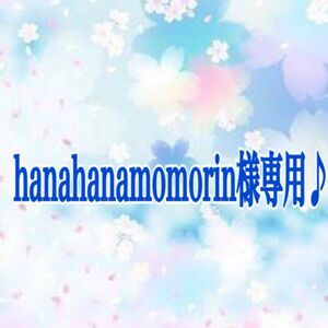 hanahanamomorin様専用♪ フックピアス　チタン　ハンドメイドパーツ　アクセサリー　パーツ