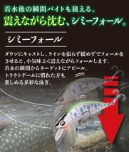 【送料185円】※訳アリ※ 渓流 ミノー 4個 セット トラウト シンキング フラット ルアー 65mm 8.2g -65Ede-A4-_画像5