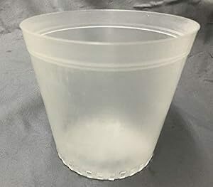 半透明 プラ鉢 12ｃｍ １0