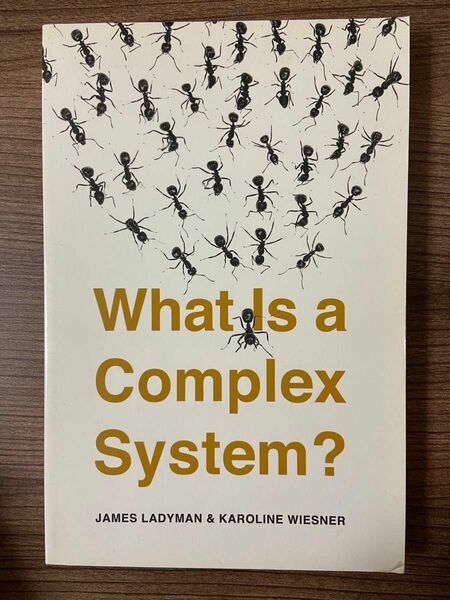 【洋書】What Is a Complex System?