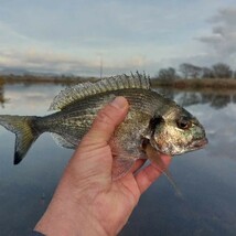 ロッド 超軽量 7.2m 渓流竿 万能ロッド 先調子 釣竿 竿 釣り 海釣り 河川 湖畔 堤防 レジャー フィッシング 釣具 趣味 川魚 ヤマメ_画像7