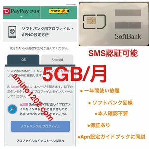 プリペイドSIMカード 毎月5GB SMS受信可 データSIM SMS認証 