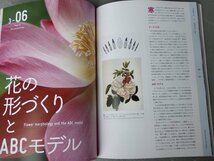 【図録】特別展 植物―地球を支える仲間たち 公式ガイドブック◆国立科学博物館 他/2021～2022年_画像8