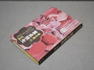 藤本義一の童貞喪失対談◆面白半分/1976年初版◆ディック・ミネ/田中小実昌/坂上二郎/菅原文太/金子信雄/西川きよし/赤塚不二夫/他