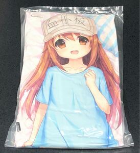  is ... small .. small board cushion absolute . region roli beautiful young lady Dakimakura goods 