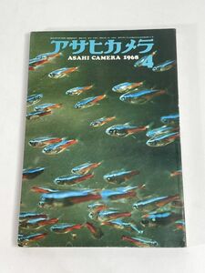 アサヒカメラ 1968.4月 アフリカのイメージ 有明海干拓 水の表情 他 朝日新聞社【H77614】