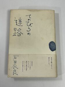 てのひらの迷路石田衣良(著者)　2005年平成17年（初版）【H77666】