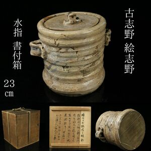 【LIG】古志野 絵志野 水指 23㎝ 書付箱 識箱 古美術品 コレクター収蔵品[.WQ]24.04