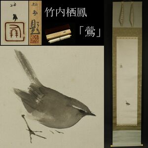 【模写】竹内栖鳳 「鶯」 水墨画 掛軸 共二重箱 旧家収蔵品 [.QQ]24.4