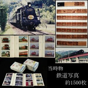 【LIG】当時物 鉄道写真 約1500枚 ネガ 国鉄C11形 蒸気機関車 227号機 路線バス 大量 コレクター収蔵品 ⑤ [P]24.2