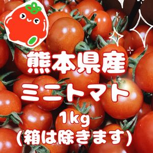 【 農家直送！完熟新鮮 】 熊本県産 ミニトマト1kg