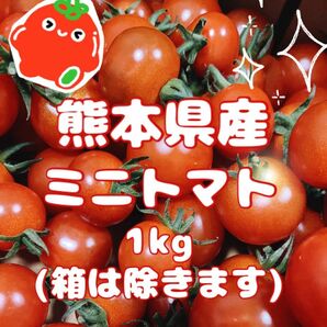 【 農家直送！完熟新鮮！ 】 熊本県産 ミニトマト1kg