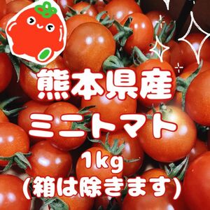 【 農家直送！完熟新鮮！ 】 熊本県産 ミニトマト1kg