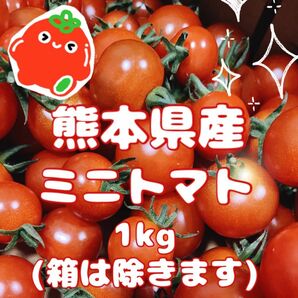 【 感謝SALE☆完熟新鮮！ 】 熊本県産 ミニトマト1kg