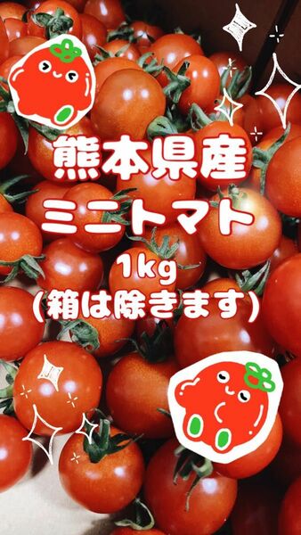 【 感謝SALE☆完熟新鮮！ 】 熊本県産 ミニトマト1kg