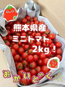 【 お買い得！完熟新鮮！ 】 熊本県産 完熟ミニトマト2kg